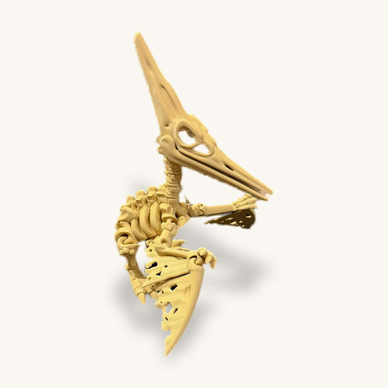 3D-printed pterosaur skeleton in bone colour, crested head and folded wing, on a plain background
